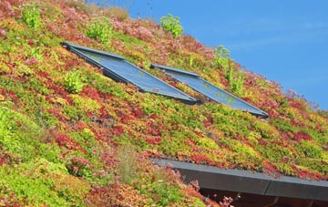 Greenstreet Green living roof systems