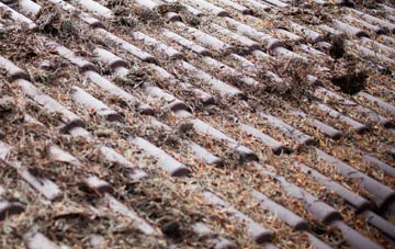 Greenstreet Green roof cleaning companies