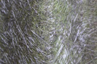 Greenstreet Green fibreglass roof work